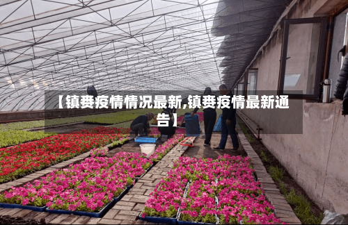 【镇赉疫情情况最新,镇赉疫情最新通告】