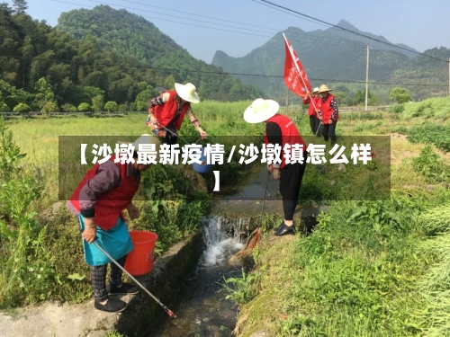 【沙墩最新疫情/沙墩镇怎么样】-第1张图片