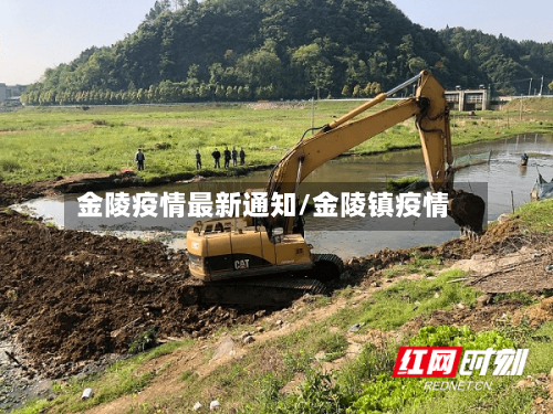 金陵疫情最新通知/金陵镇疫情