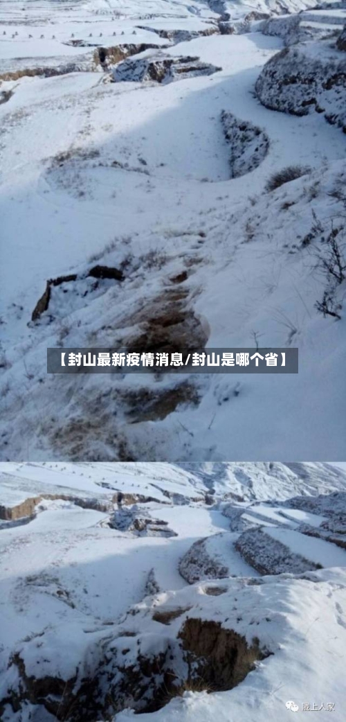 【封山最新疫情消息/封山是哪个省】