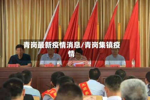 青岗最新疫情消息/青岗集镇疫情