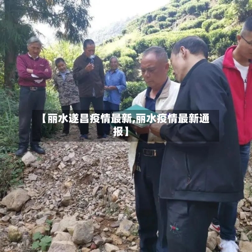 【丽水遂昌疫情最新,丽水疫情最新通报】