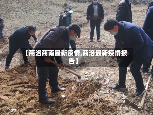 【商洛商南最新疫情,商洛最新疫情报告】-第1张图片
