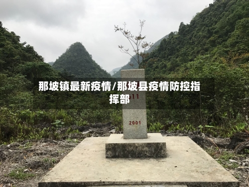 那坡镇最新疫情/那坡县疫情防控指挥部