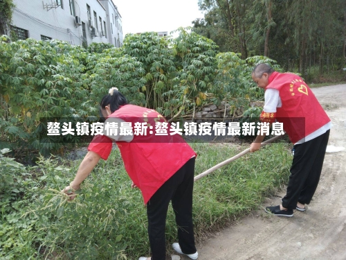 鳌头镇疫情最新:鳌头镇疫情最新消息