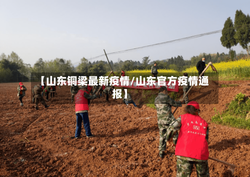 【山东铜梁最新疫情/山东官方疫情通报】-第1张图片