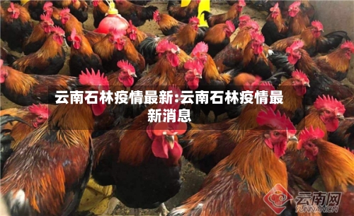 云南石林疫情最新:云南石林疫情最新消息-第1张图片