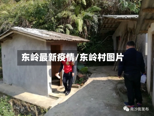 东岭最新疫情/东岭村图片-第1张图片
