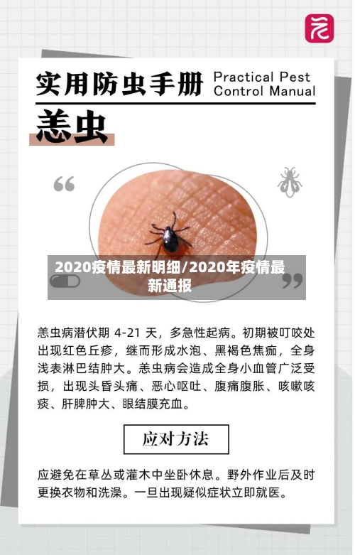 2020疫情最新明细/2020年疫情最新通报-第1张图片