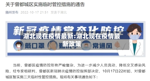 湖北现在疫情最新:湖北现在疫情最新政策-第1张图片