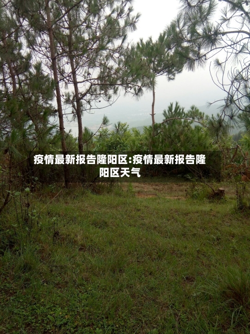 疫情最新报告隆阳区:疫情最新报告隆阳区天气-第1张图片