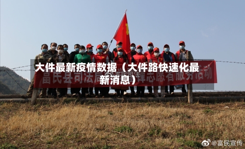 大件最新疫情数据（大件路快速化最新消息）-第1张图片