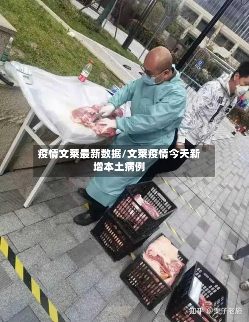 疫情文莱最新数据/文莱疫情今天新增本土病例-第1张图片