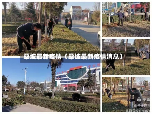 桑坡最新疫情（桑坡最新疫情消息）-第1张图片