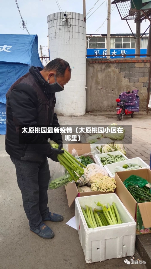 太原桃园最新疫情（太原桃园小区在哪里）-第1张图片