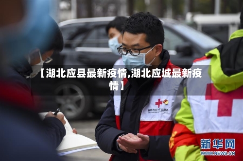 【湖北应县最新疫情,湖北应城最新疫情】