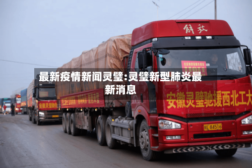 最新疫情新闻灵璧:灵璧新型肺炎最新消息