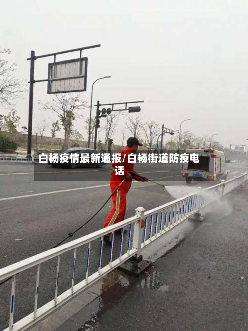 白杨疫情最新通报/白杨街道防疫电话-第1张图片