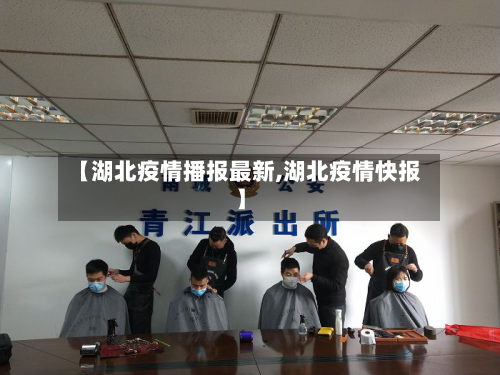 【湖北疫情播报最新,湖北疫情快报】-第1张图片