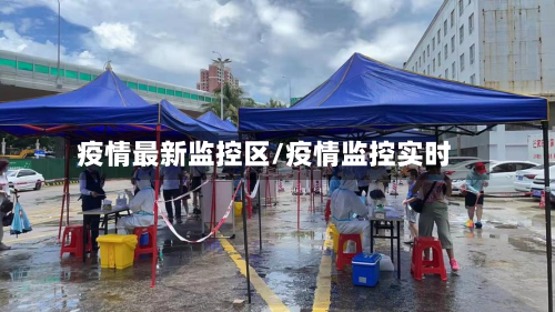 疫情最新监控区/疫情监控实时-第1张图片