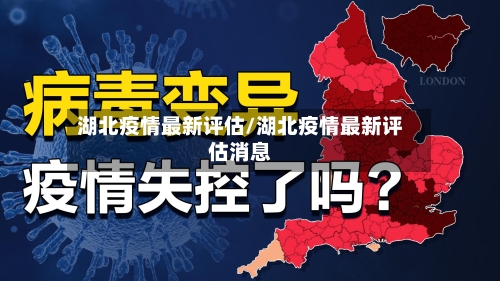 湖北疫情最新评估/湖北疫情最新评估消息-第1张图片