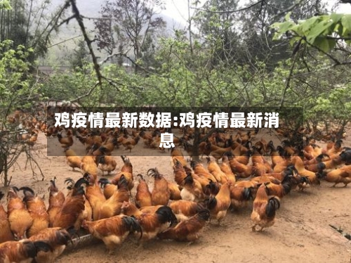 鸡疫情最新数据:鸡疫情最新消息-第1张图片