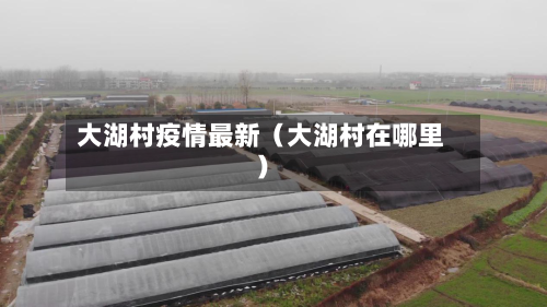 大湖村疫情最新（大湖村在哪里）-第1张图片