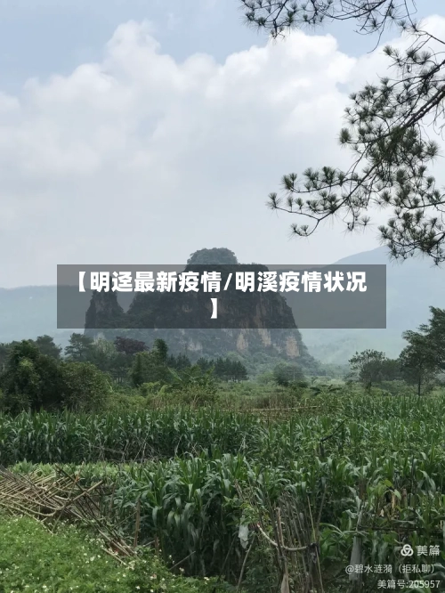 【明迳最新疫情/明溪疫情状况】-第1张图片