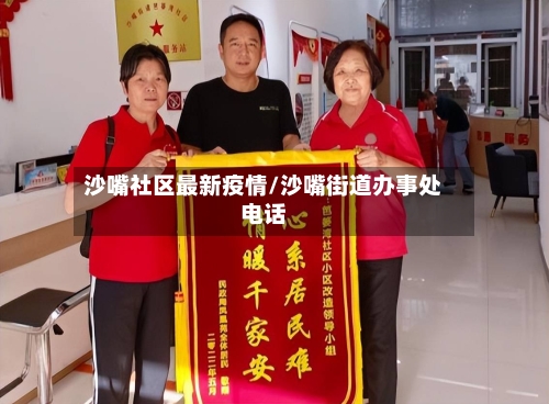 沙嘴社区最新疫情/沙嘴街道办事处电话-第1张图片