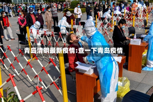 青岛清明最新疫情:查一下青岛疫情-第1张图片