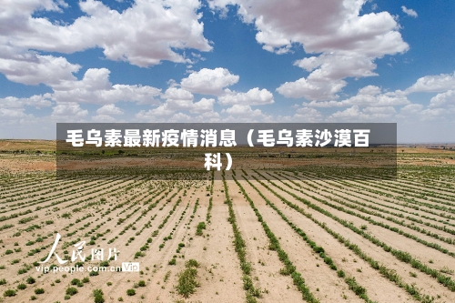 毛乌素最新疫情消息（毛乌素沙漠百科）-第1张图片