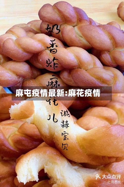 麻屯疫情最新:麻花疫情-第1张图片