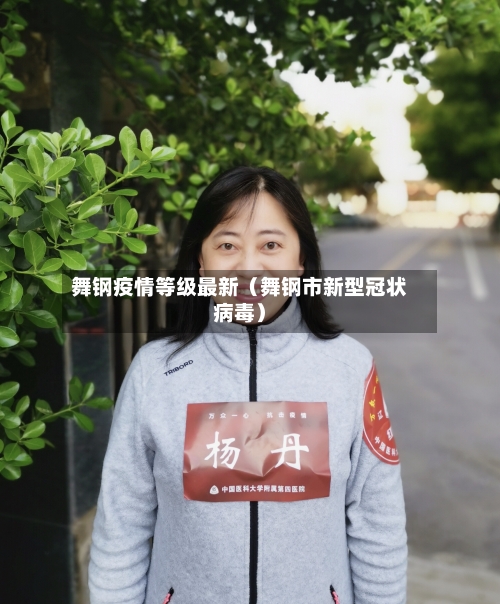 舞钢疫情等级最新(舞钢市新型冠状病毒)-第1张图片