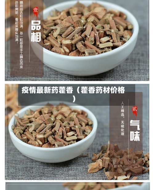 疫情最新药藿香（藿香药材价格）-第1张图片