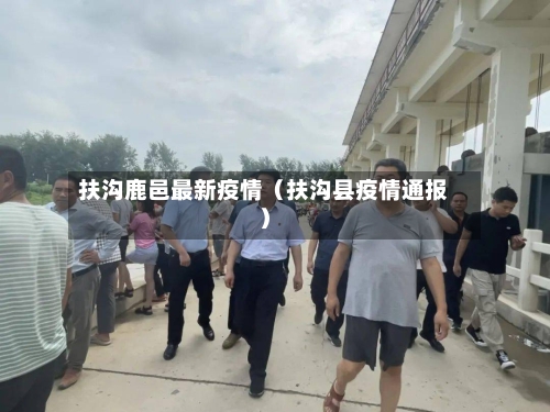 扶沟鹿邑最新疫情（扶沟县疫情通报）-第1张图片