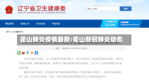 霍山肺炎疫情最新:霍山新冠肺炎动态-第1张图片