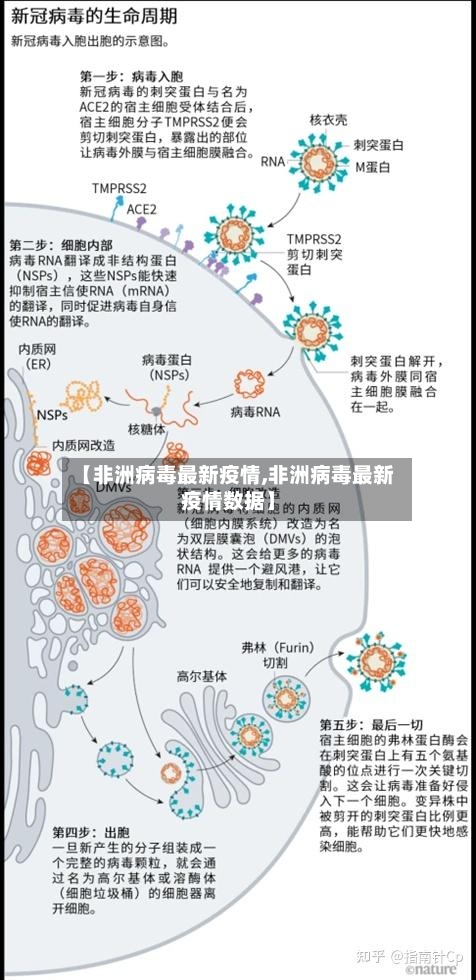 【非洲病毒最新疫情,非洲病毒最新疫情数据】-第1张图片