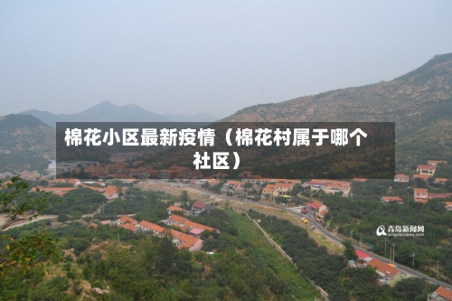 棉花小区最新疫情（棉花村属于哪个社区）-第1张图片