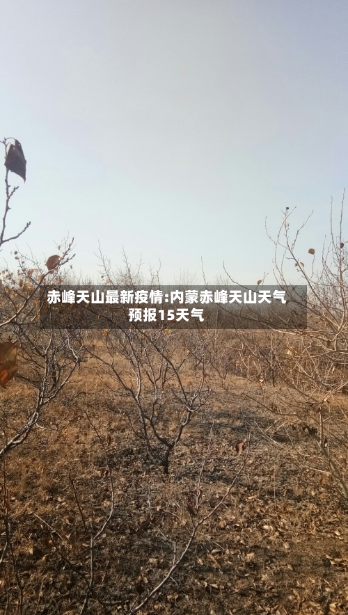 赤峰天山最新疫情:内蒙赤峰天山天气预报15天气-第1张图片