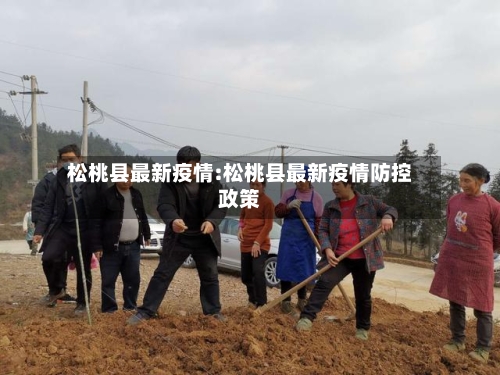 松桃县最新疫情:松桃县最新疫情防控政策-第1张图片