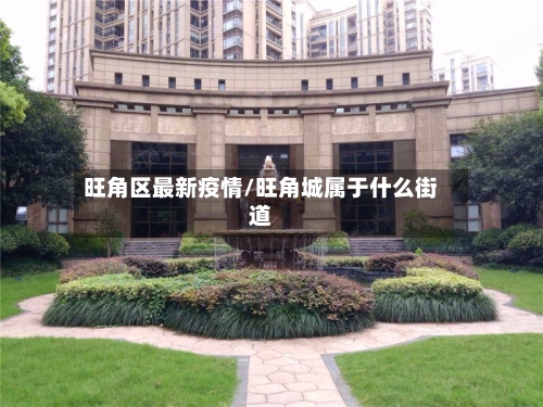 旺角区最新疫情/旺角城属于什么街道-第1张图片