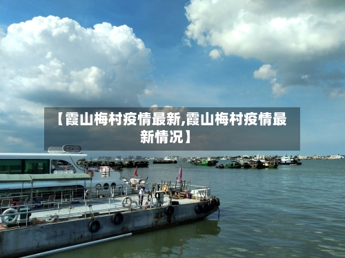 【霞山梅村疫情最新,霞山梅村疫情最新情况】-第1张图片