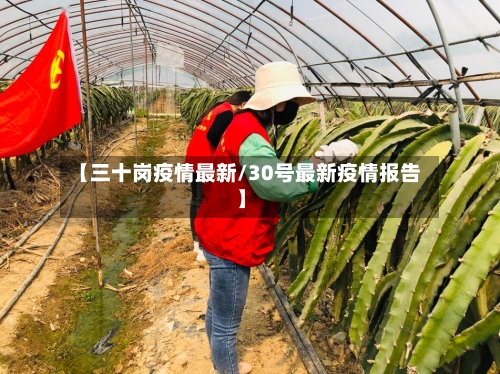 【三十岗疫情最新/30号最新疫情报告】-第1张图片