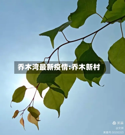 乔木湾最新疫情:乔木新村-第1张图片