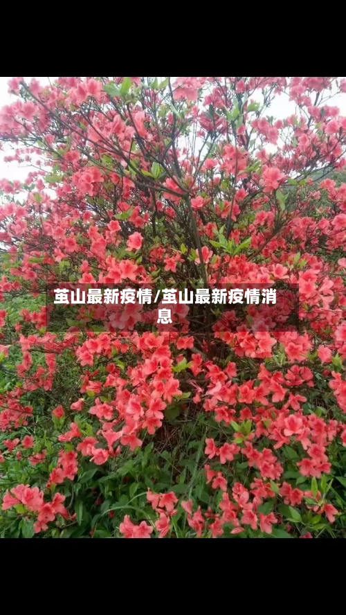 茧山最新疫情/茧山最新疫情消息-第1张图片