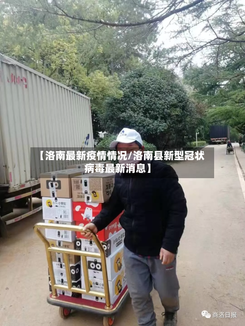 【洛南最新疫情情况/洛南县新型冠状病毒最新消息】-第1张图片