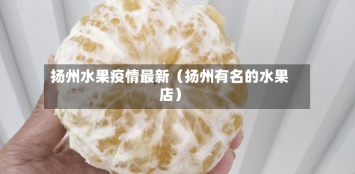 扬州水果疫情最新(扬州有名的水果店)-第1张图片