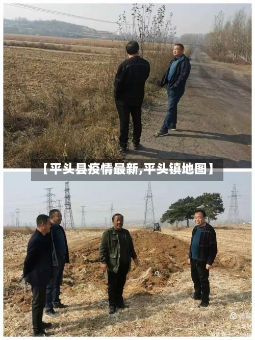 【平头县疫情最新,平头镇地图】-第1张图片