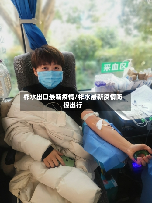 柞水出口最新疫情/柞水最新疫情防控出行-第1张图片