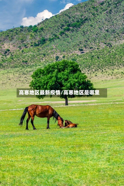 高寒地区最新疫情/高寒地区是哪里-第1张图片